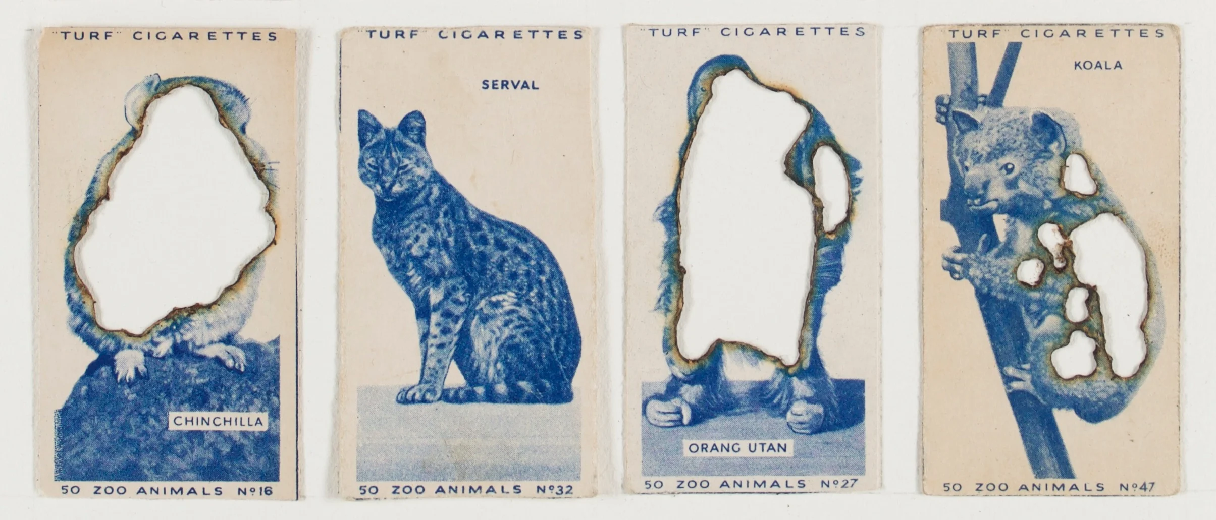 Hit+List+%28Turf+cigarettes%2C12+Zoo+animals%2C+1954%29%2C+2017.+%282%29.jpg