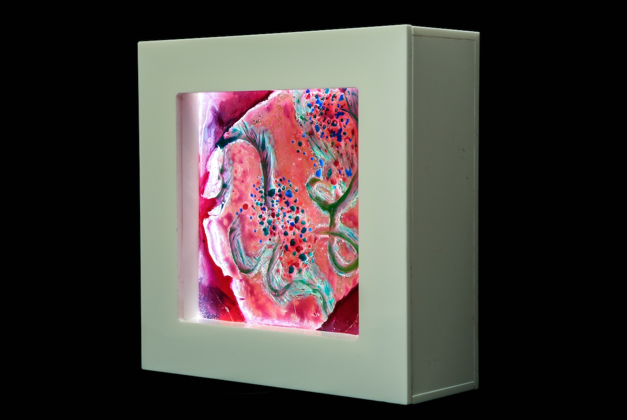 Untitled, from 'Symbiosis' series (Category Two)