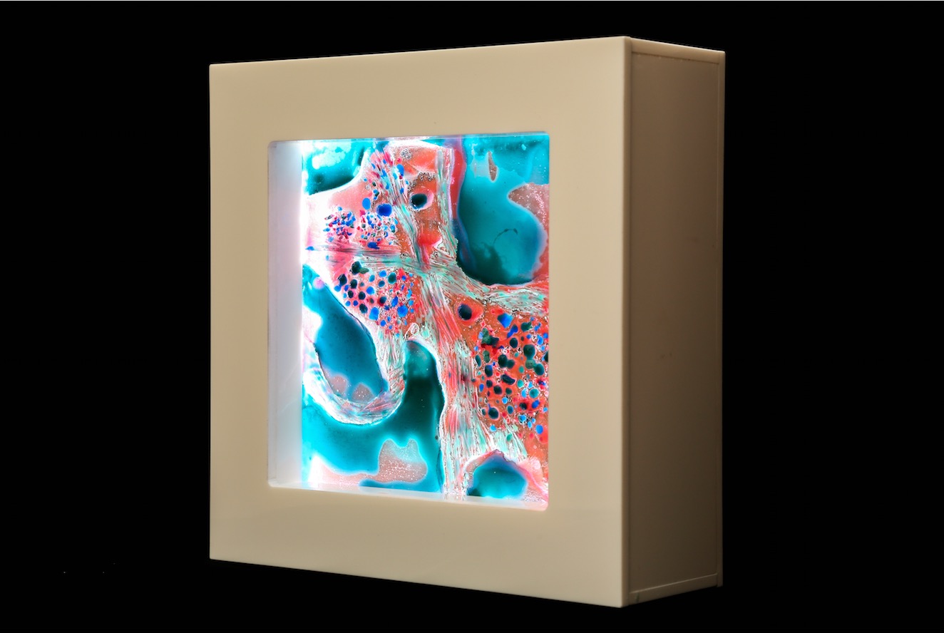 Untitled, from 'Symbiosis' series (Category Two)