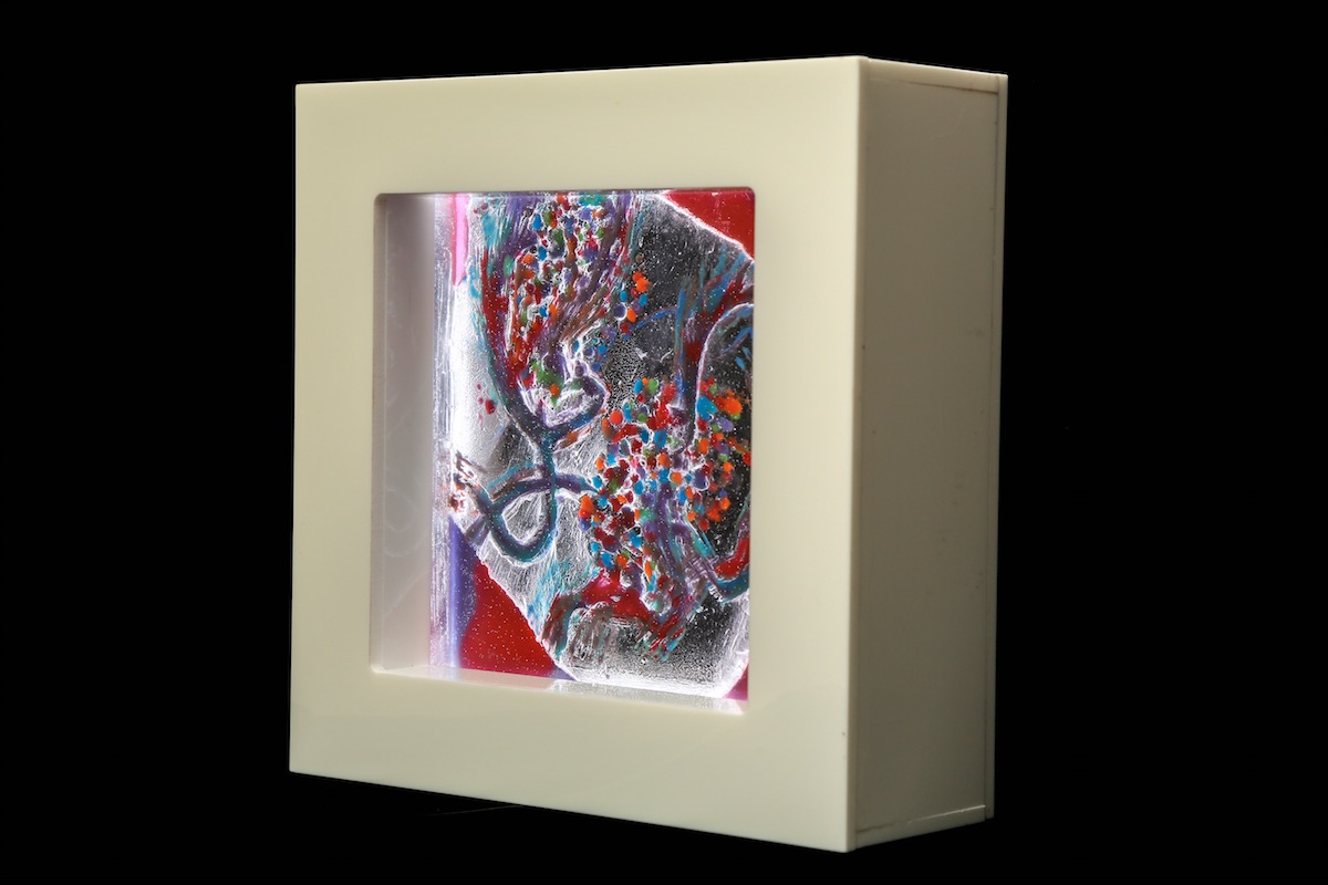 Untitled, from 'Symbiosis' series (Category Two)