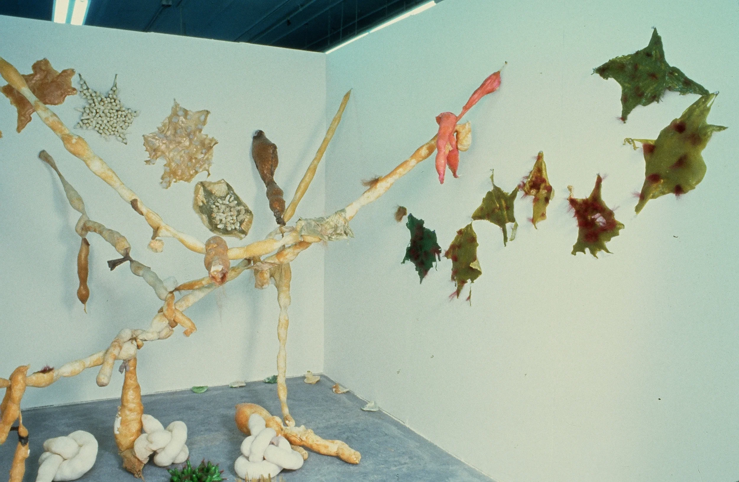 Untitled , 1994-1995 latex, cotton, pigment, nylon variable