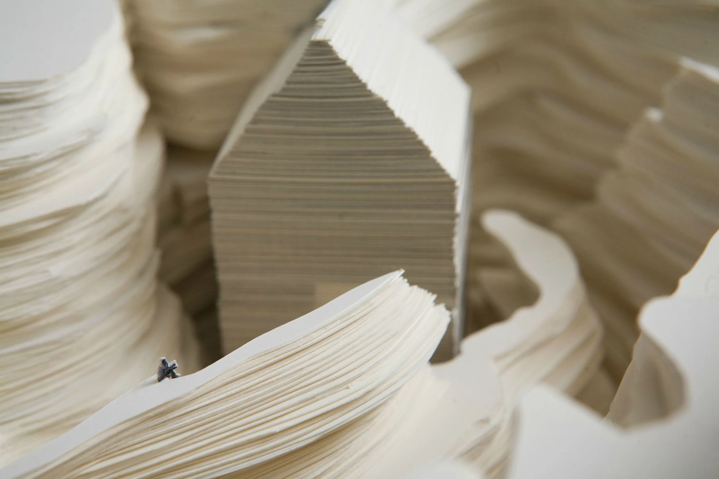 Michael Lee, A Loser’s Respite (detail), from the series “The Consolations of Museology”, 2008. Digital print on paper, 13 x 51 x 72 cm. Photo by Tan Hai Han.
