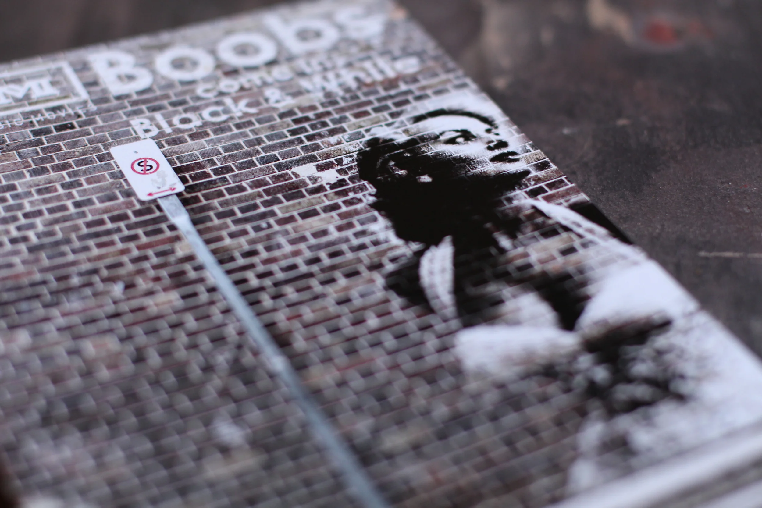 tcm_ad_campaign_marilyn monroe_melanie_celeste_1.JPG