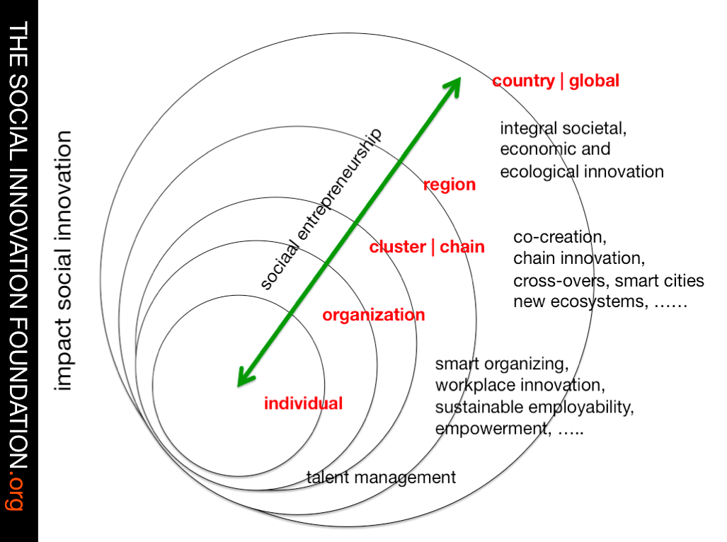 social innovation levels and dynamics