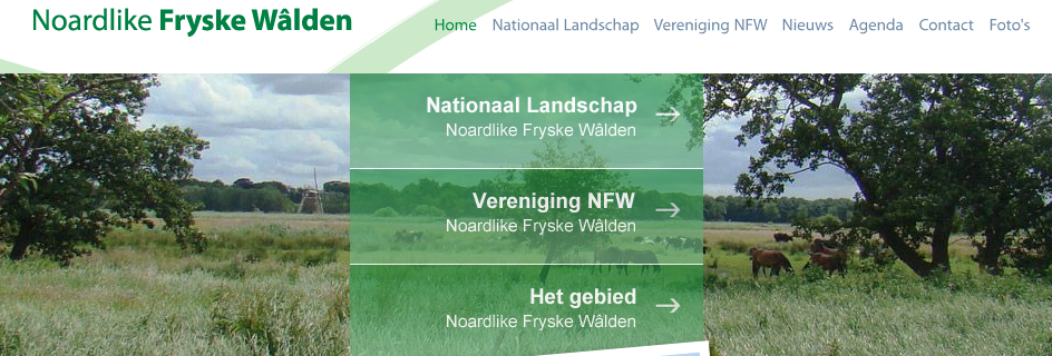 A YES FOR THE CHALLENGE WITH NFW