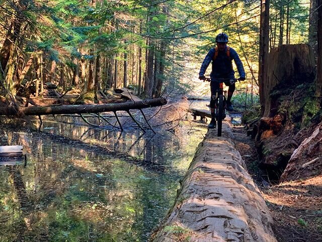 Remember bike trips? When things return to normal, we&rsquo;ll still be here with affordable bike bag rentals for cyclists in the GTA and Metro Vancouver. Until then, keep the rubber side down.
.
#mtb #mountainbike #singletrack #squamish #sorca #entr