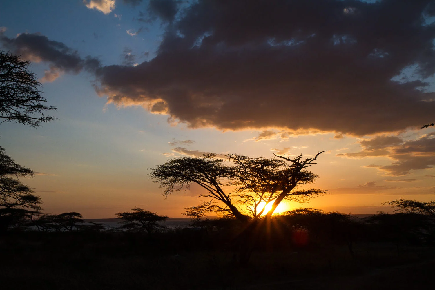 Ethiopia - Addis and on to Nairobi