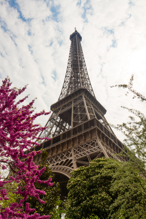 Eiffel Tower