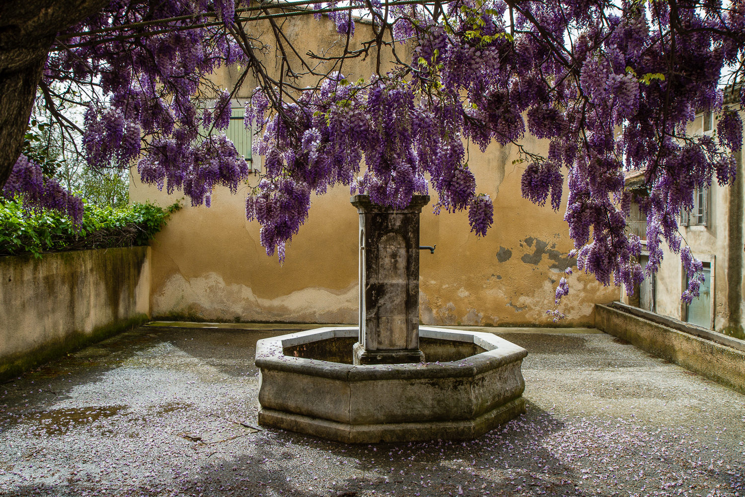 Provence - Days Seven and Eight