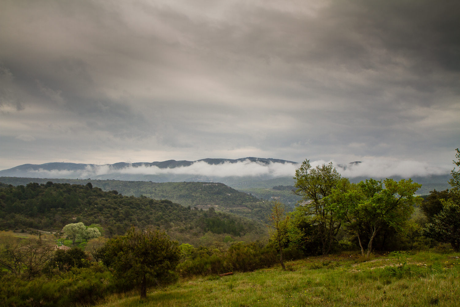 Provence - Days Five and Six