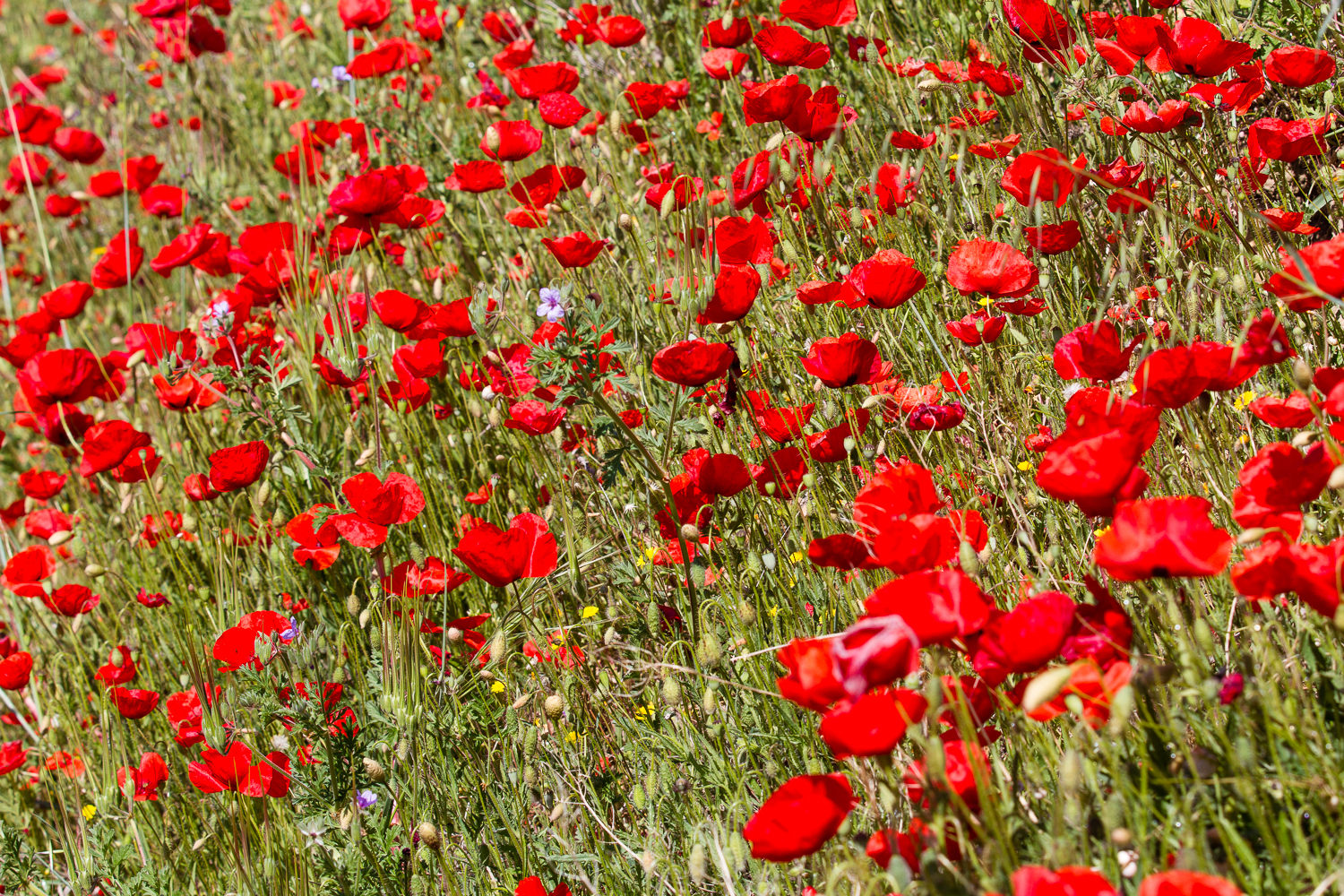 Provence - Day Two