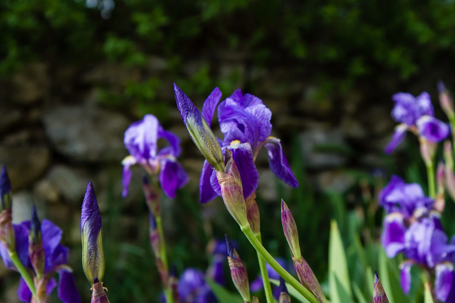 Provence - Day One