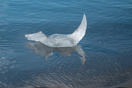 Ny Alesund and at sea 09/08/14