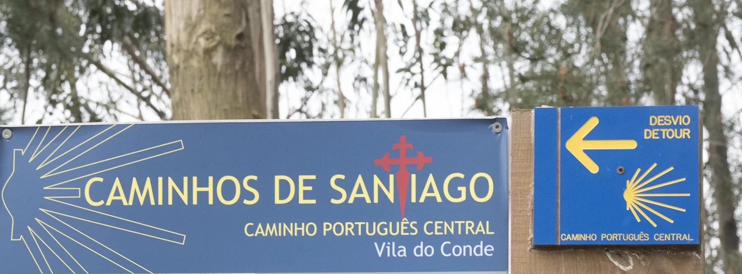 Camino - Day 2