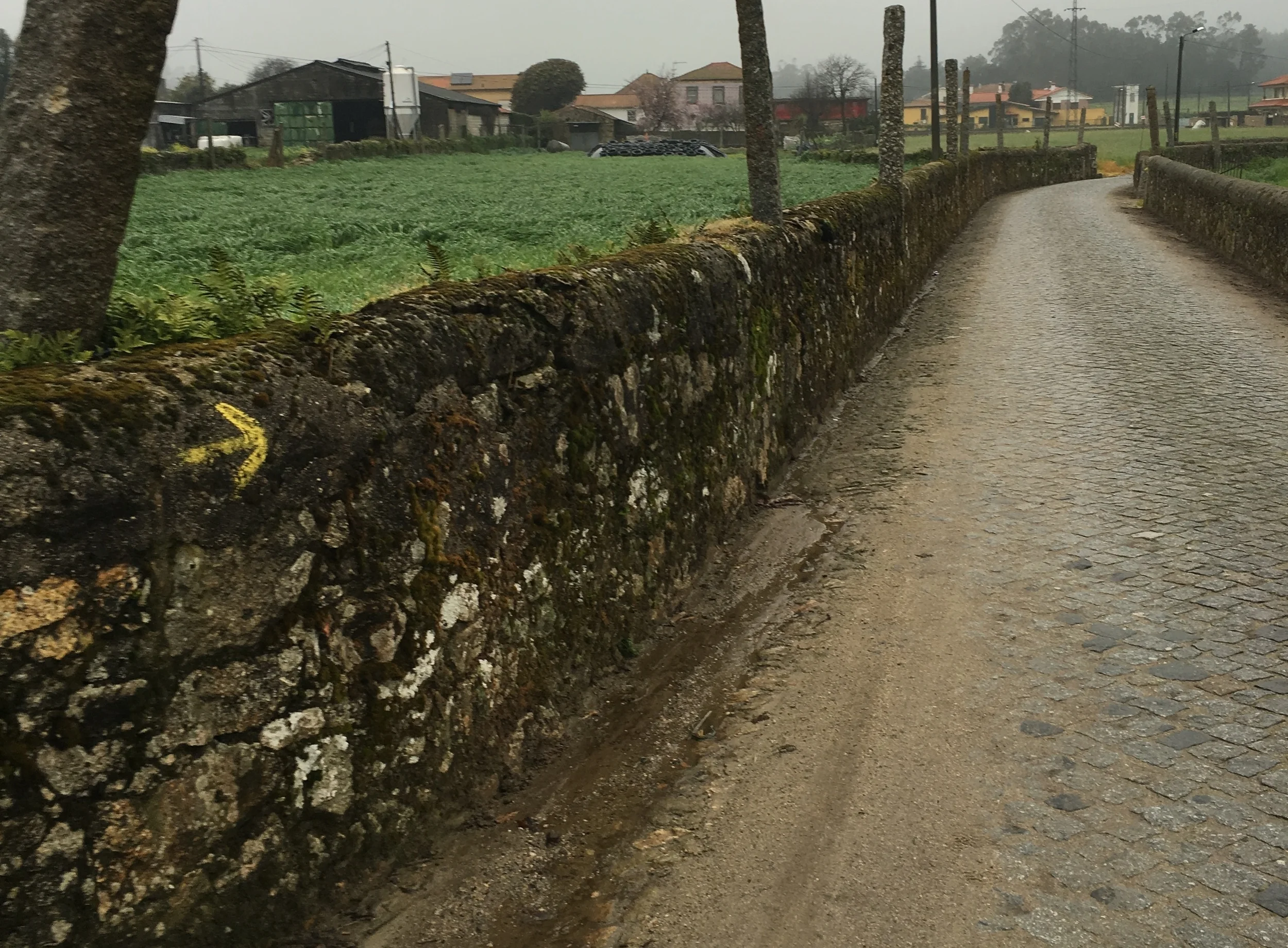 Camino - Day 3