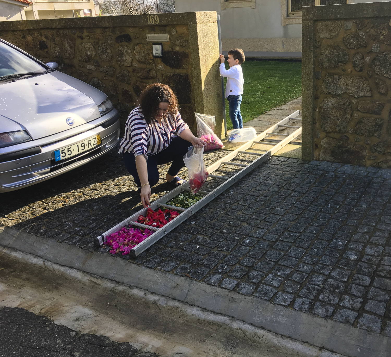 Using a ladder as a template for petal design