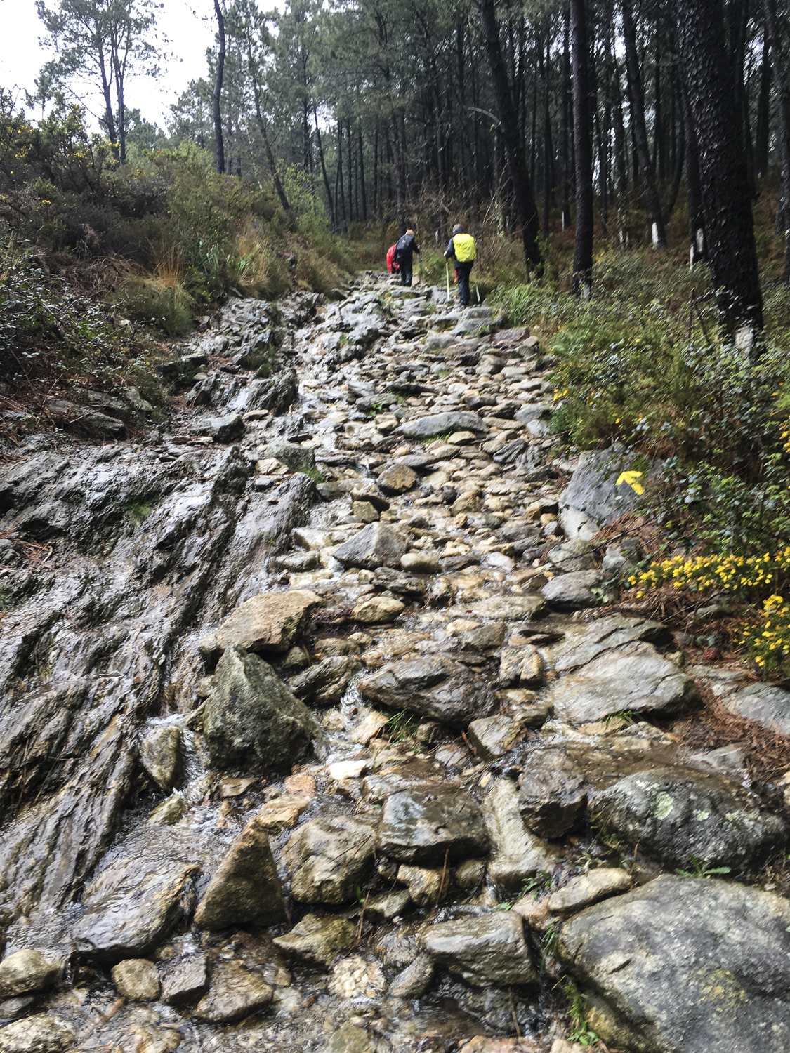 2 1/2 hours later. The last pitch to the top. Even steeper and wetter than it appears.