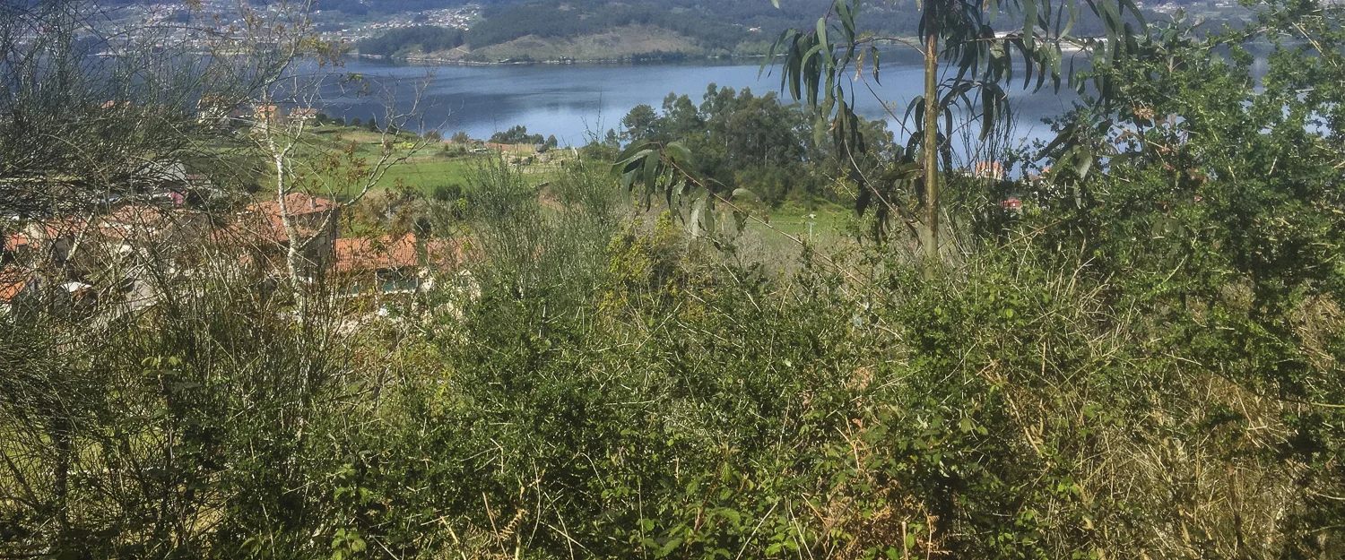 Camino - Day 9