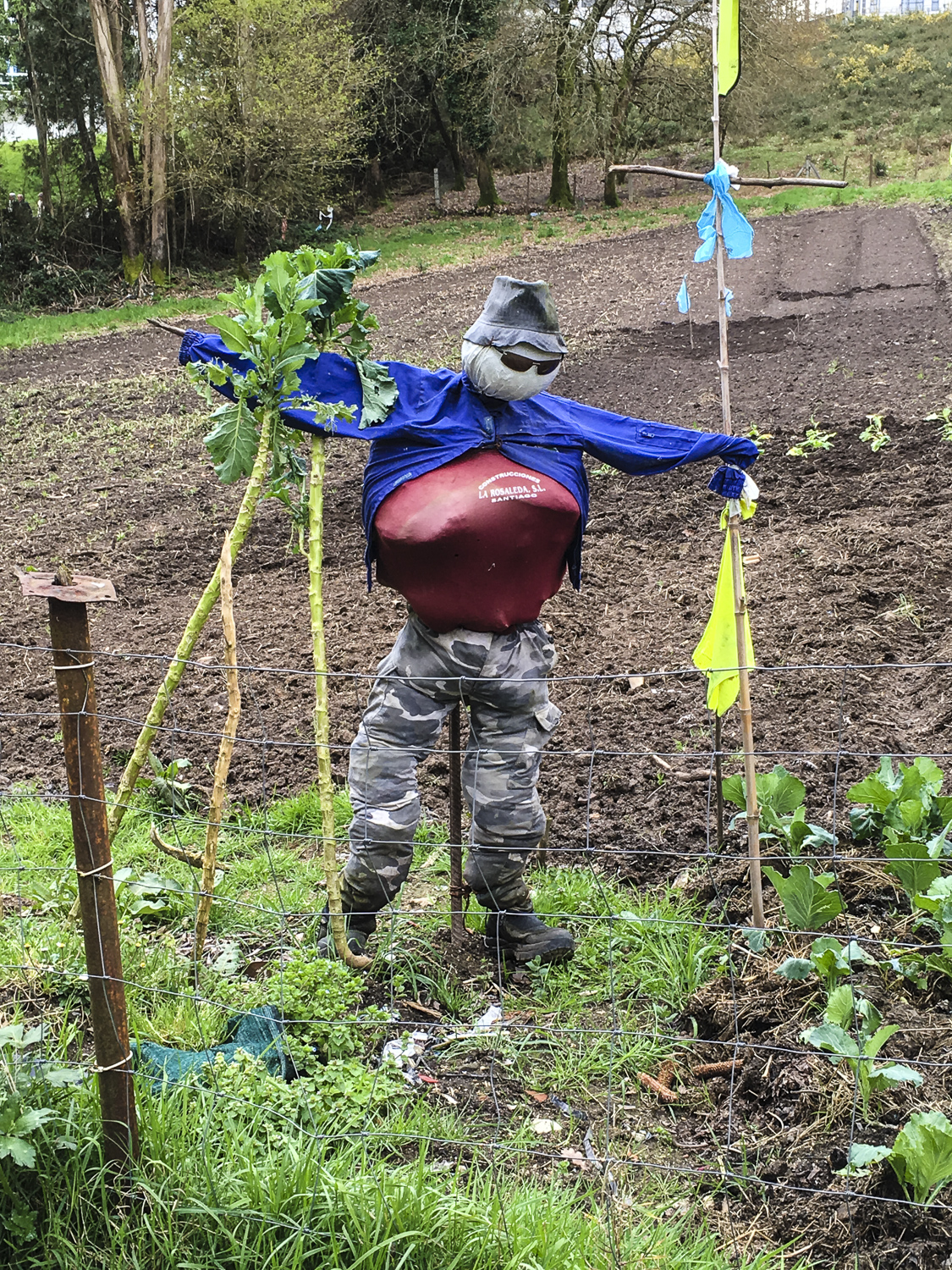 Welcome to Santiagp. Scarecrow on the outskirts