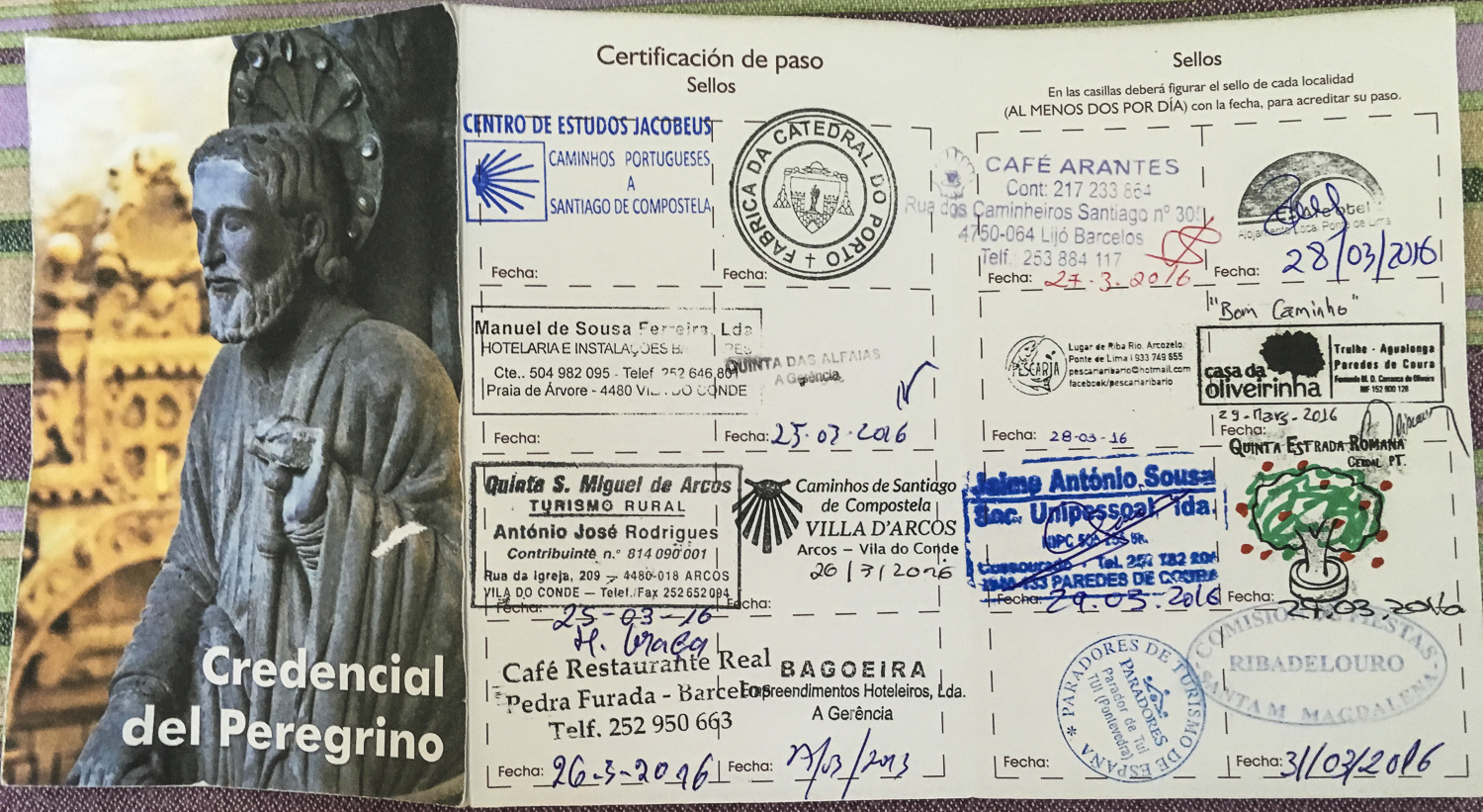 Couple of pages of my Passport