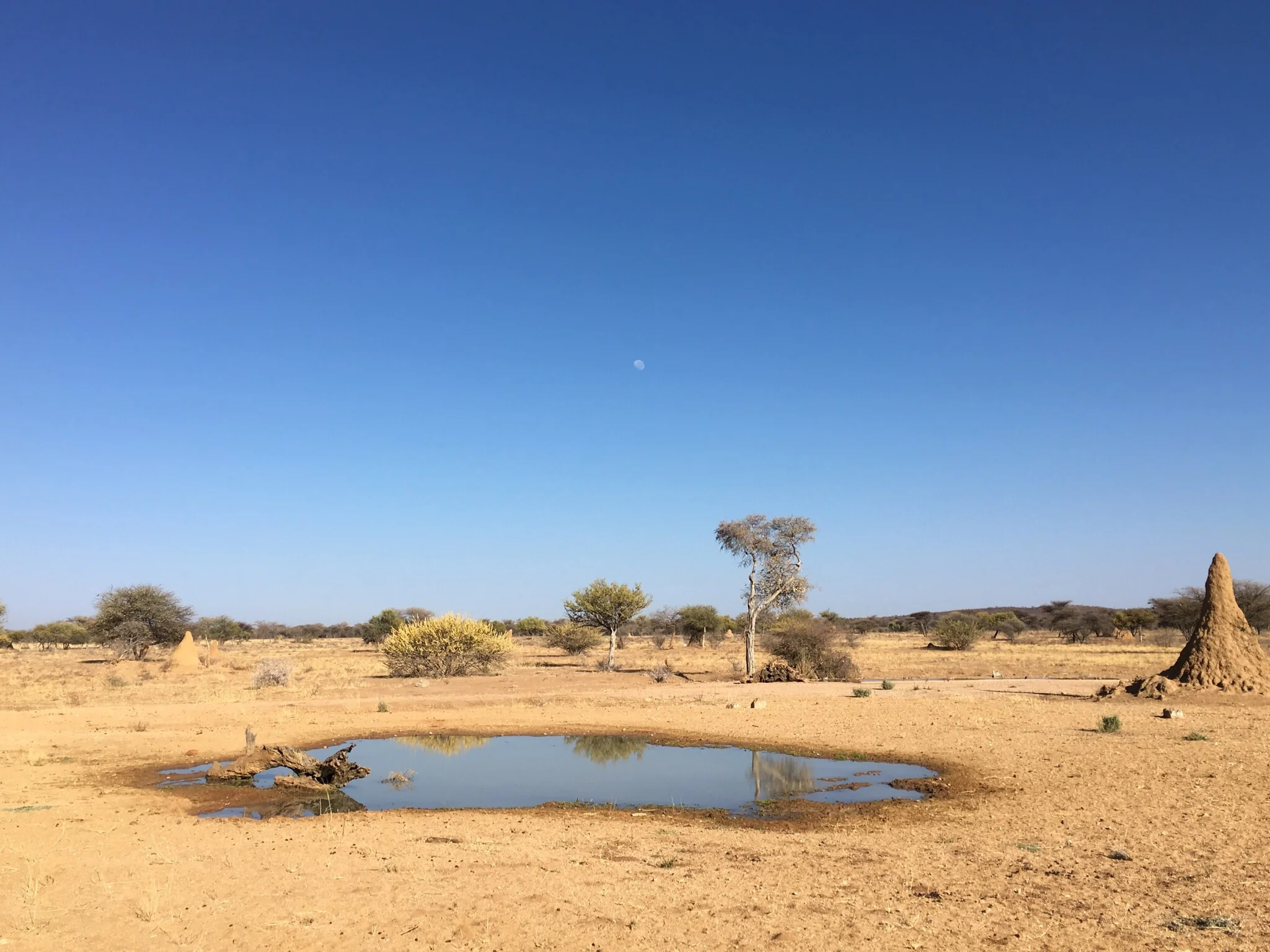 Namibia - Many days