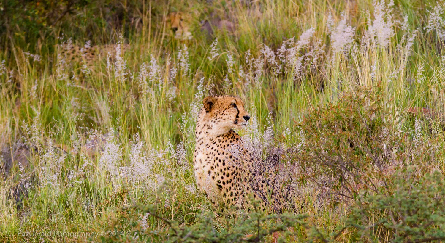 1500px Wildlife-10.jpg