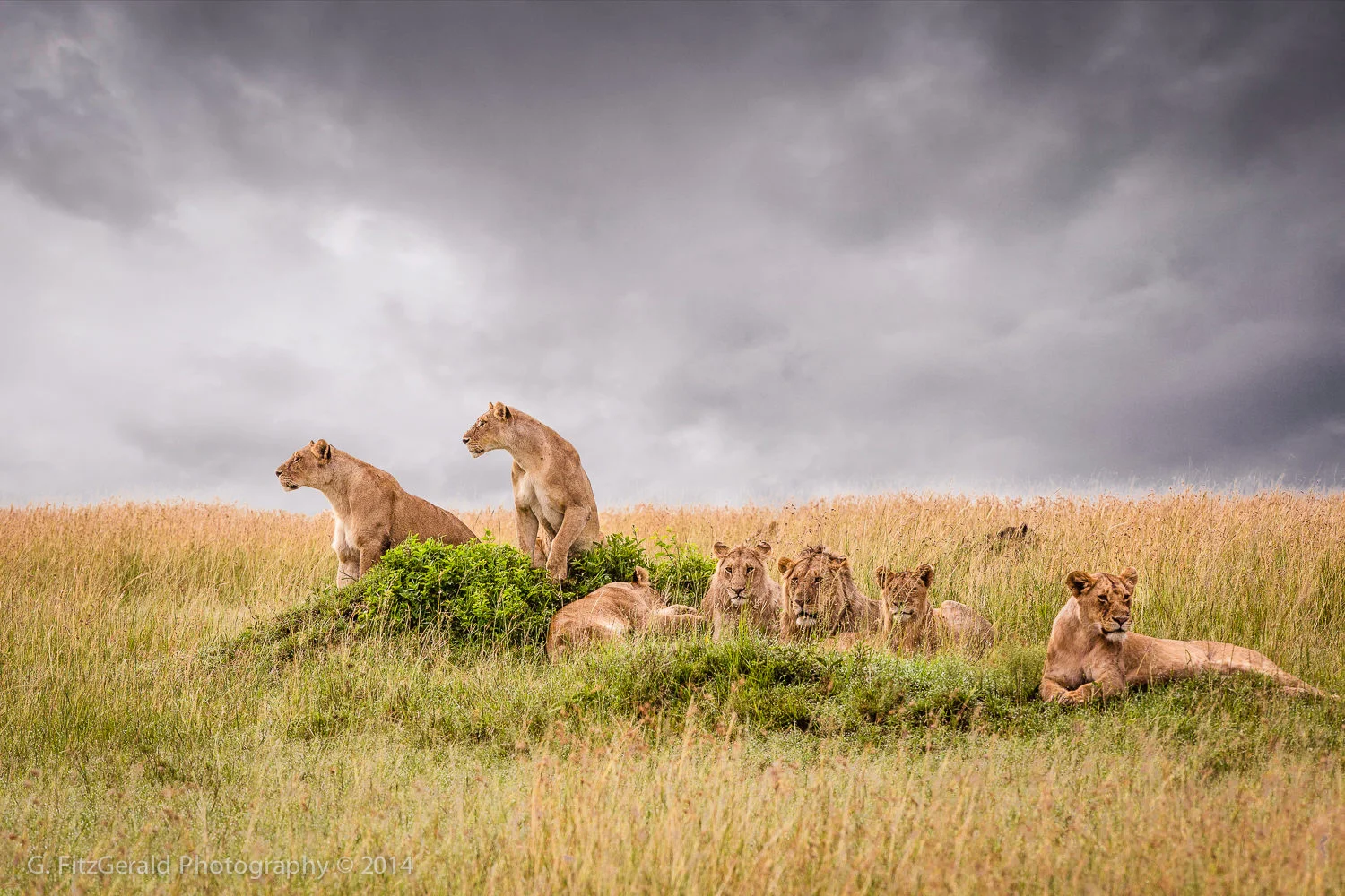 1500px Wildlife-17.jpg