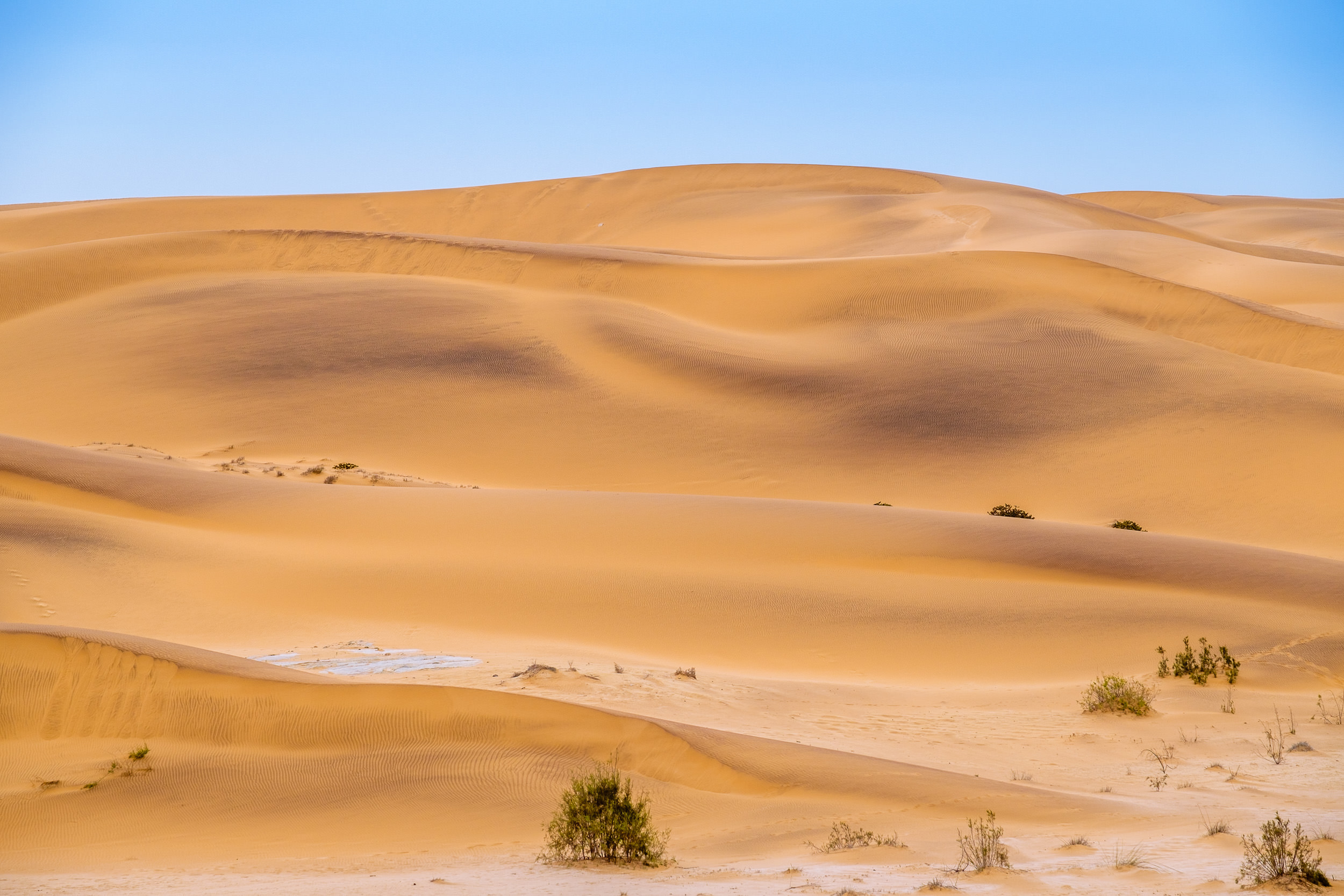SSNamibia-1.jpg