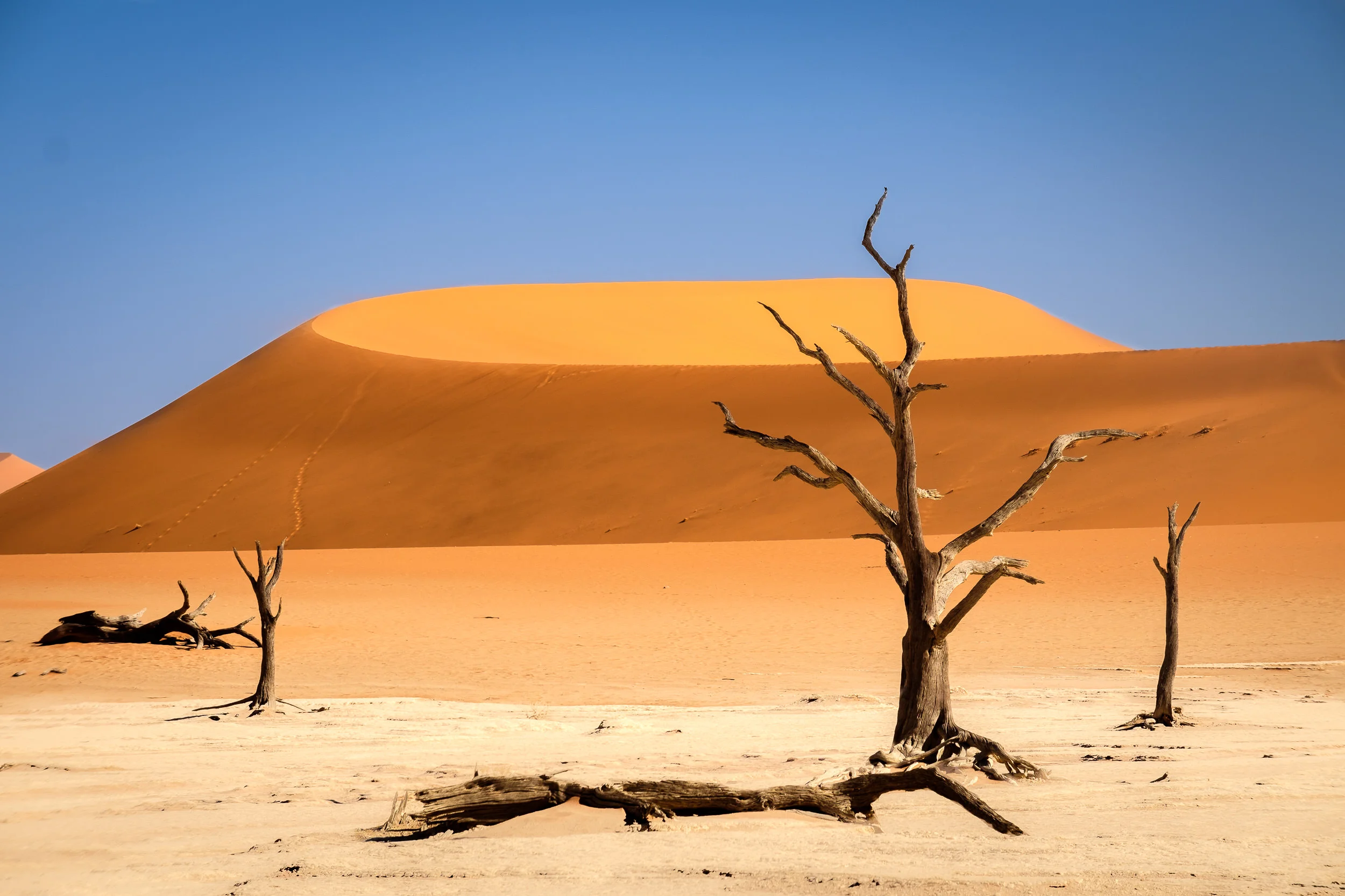 SSNamibia-5.jpg