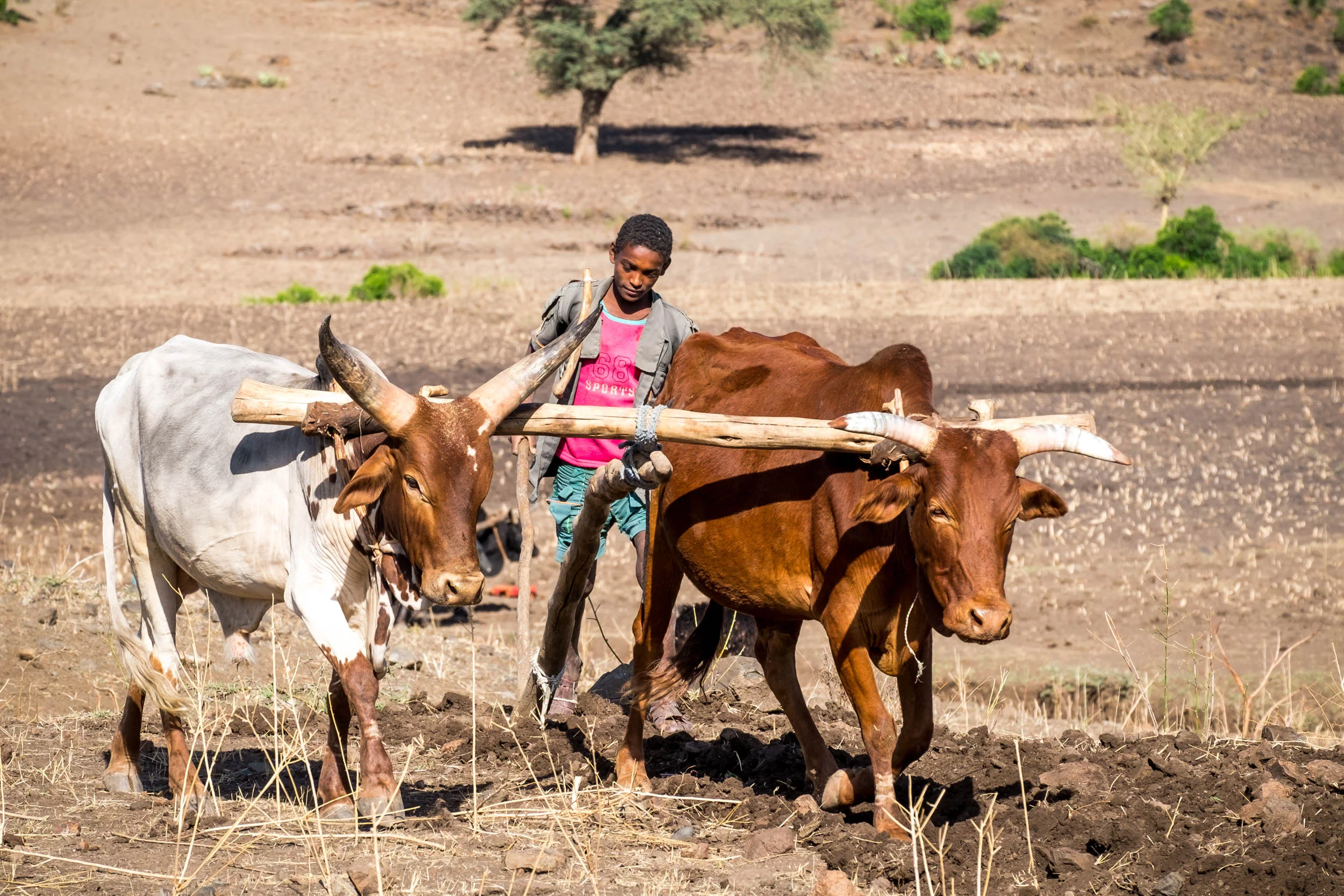 SSEthiopia-05.jpg