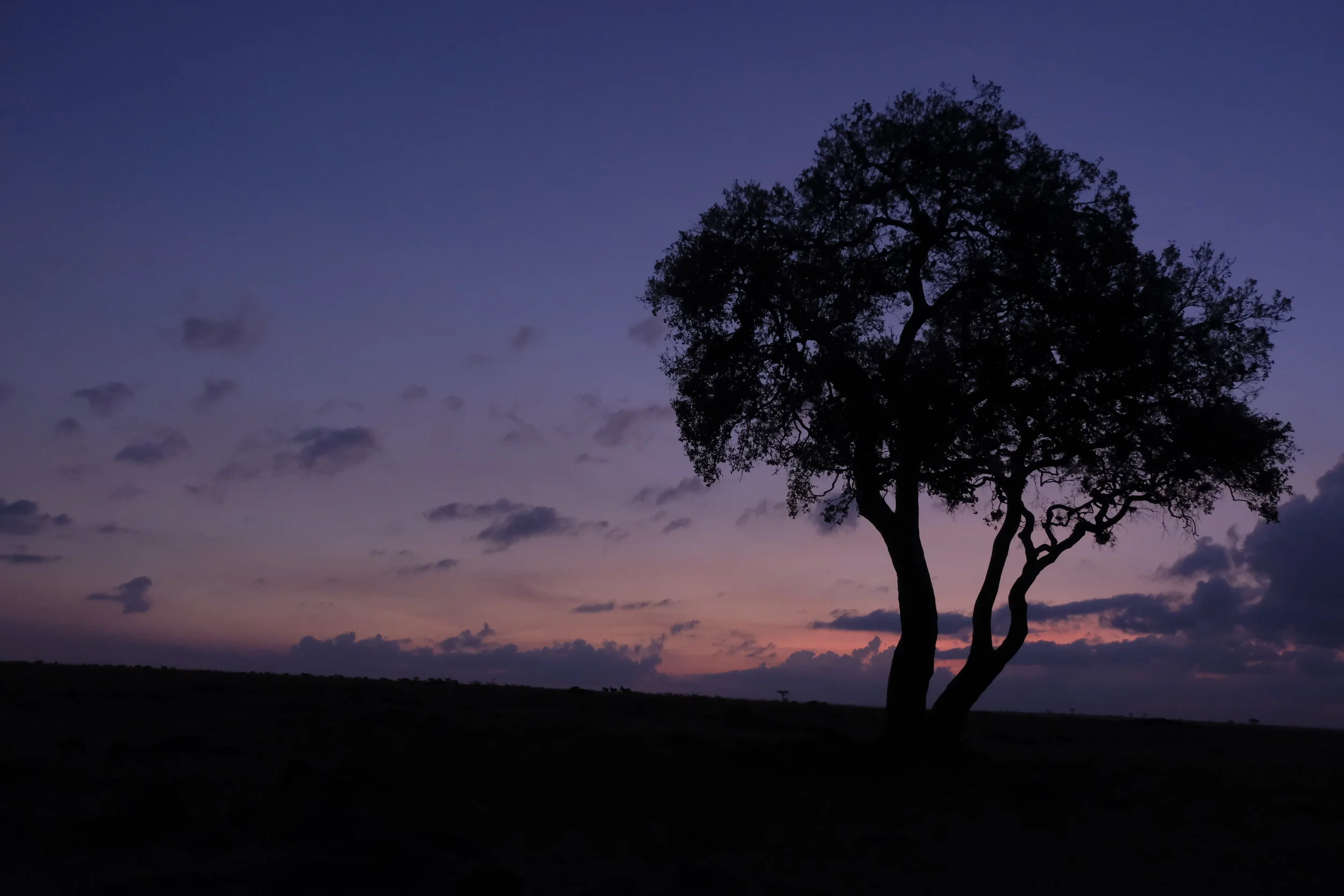 Kenya Wednesday to Friday Feb 21 - 23