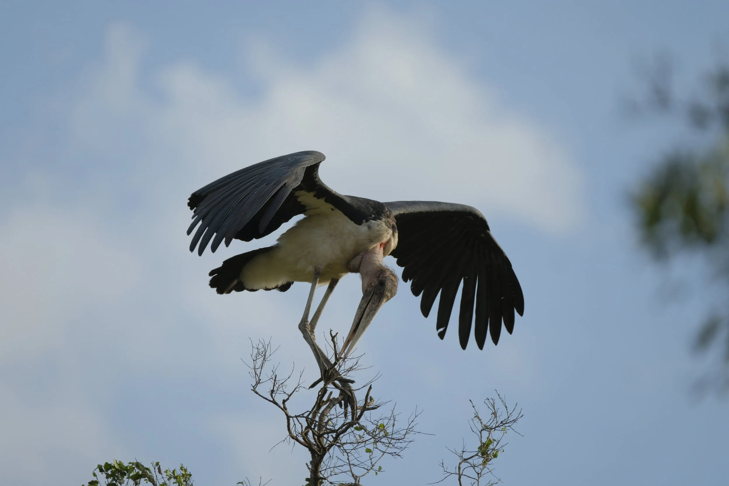 Kenya Saturday and Sunday 25/02/2018