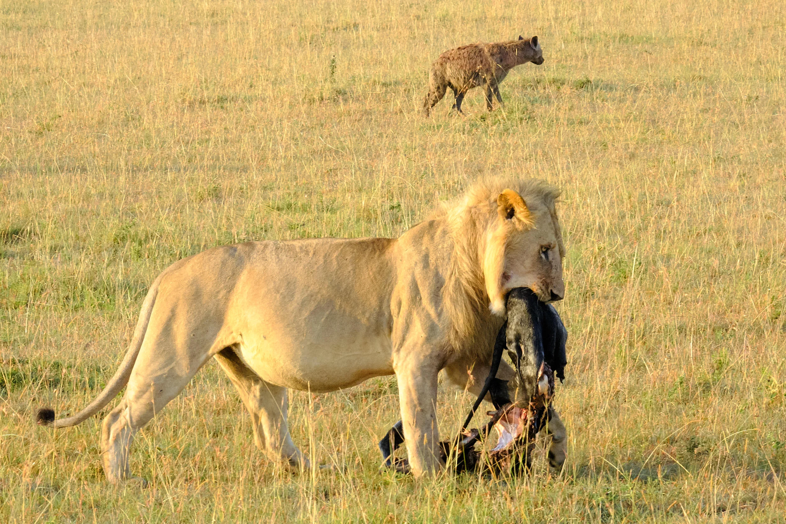 Kenya_02.jpg