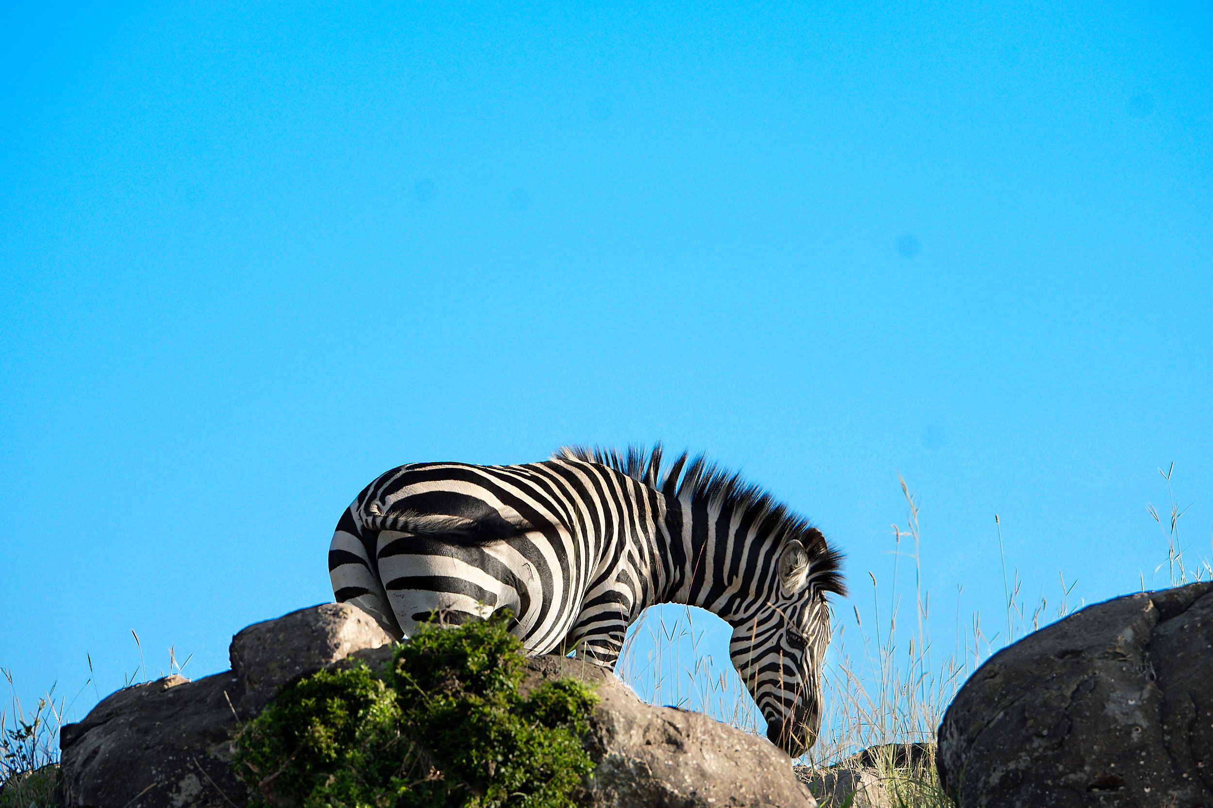 Kenya_04.jpg