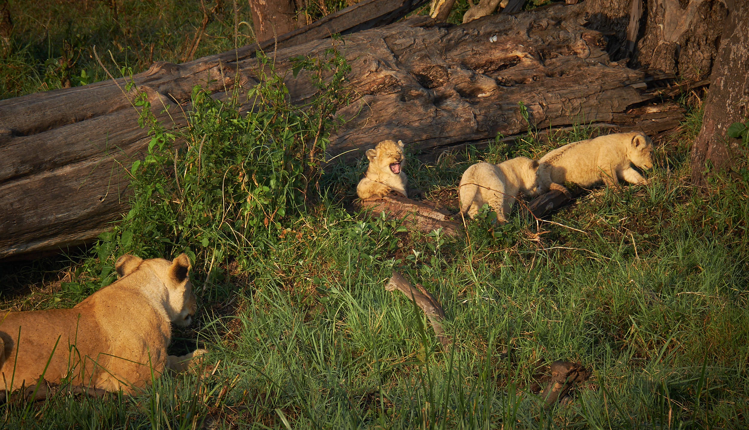 Kenya_07.jpg