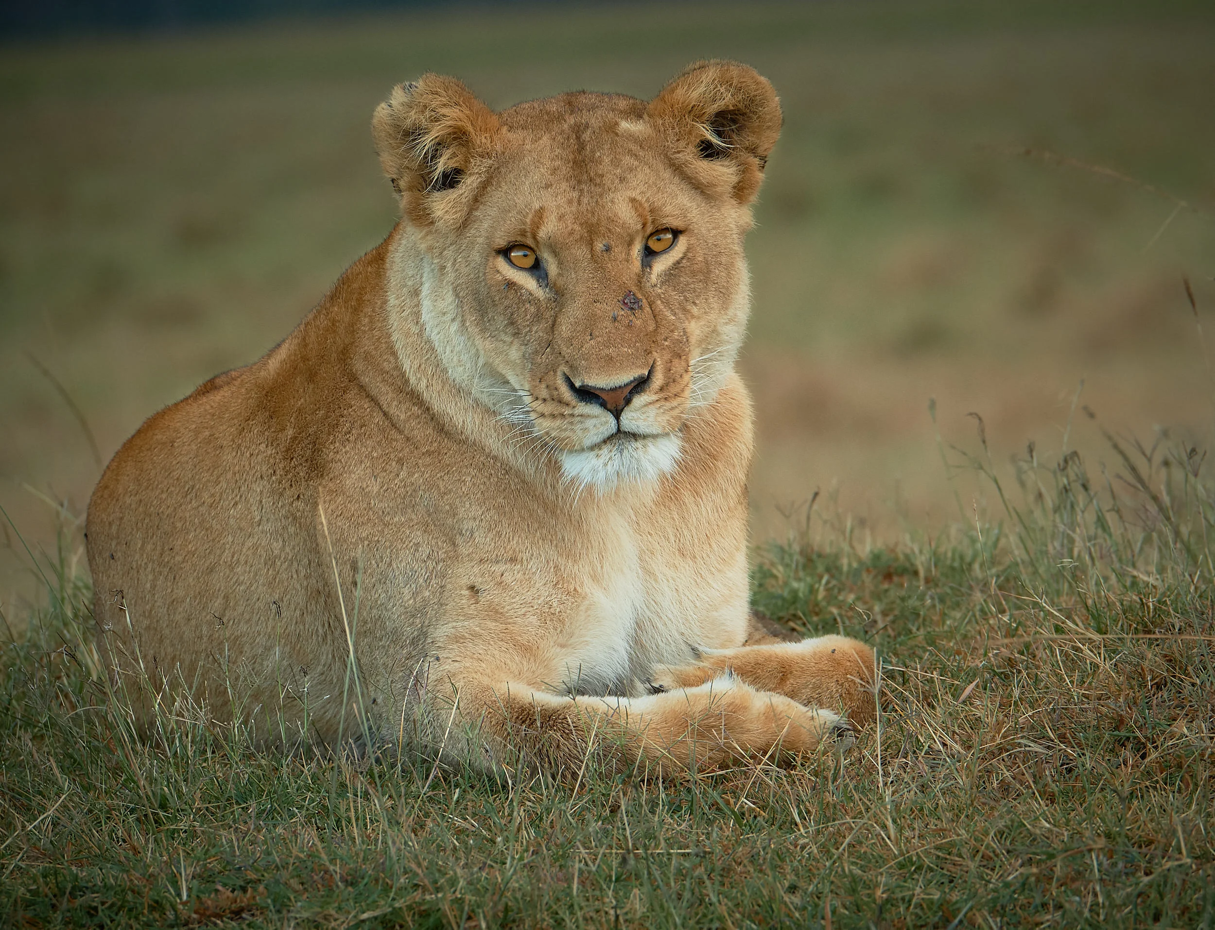 Kenya_06.jpg