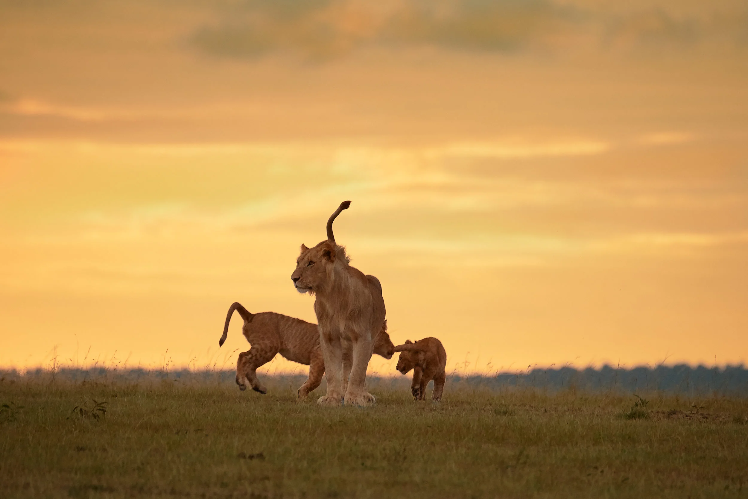Kenya_10.jpg
