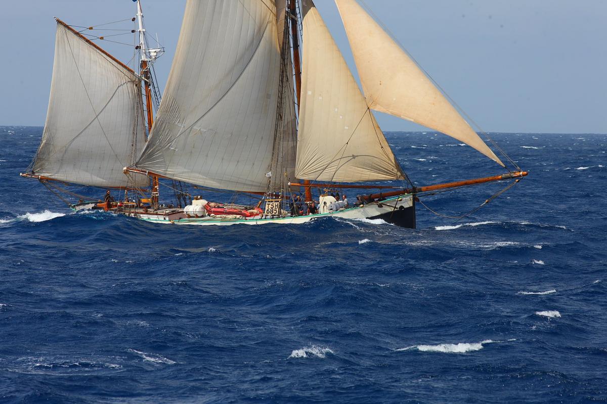 tecla-rough_seas.jpg
