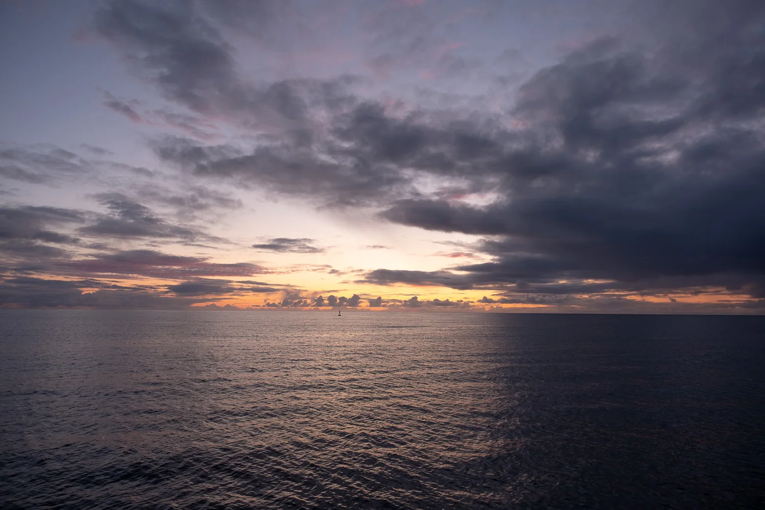 _XH18528.jpg