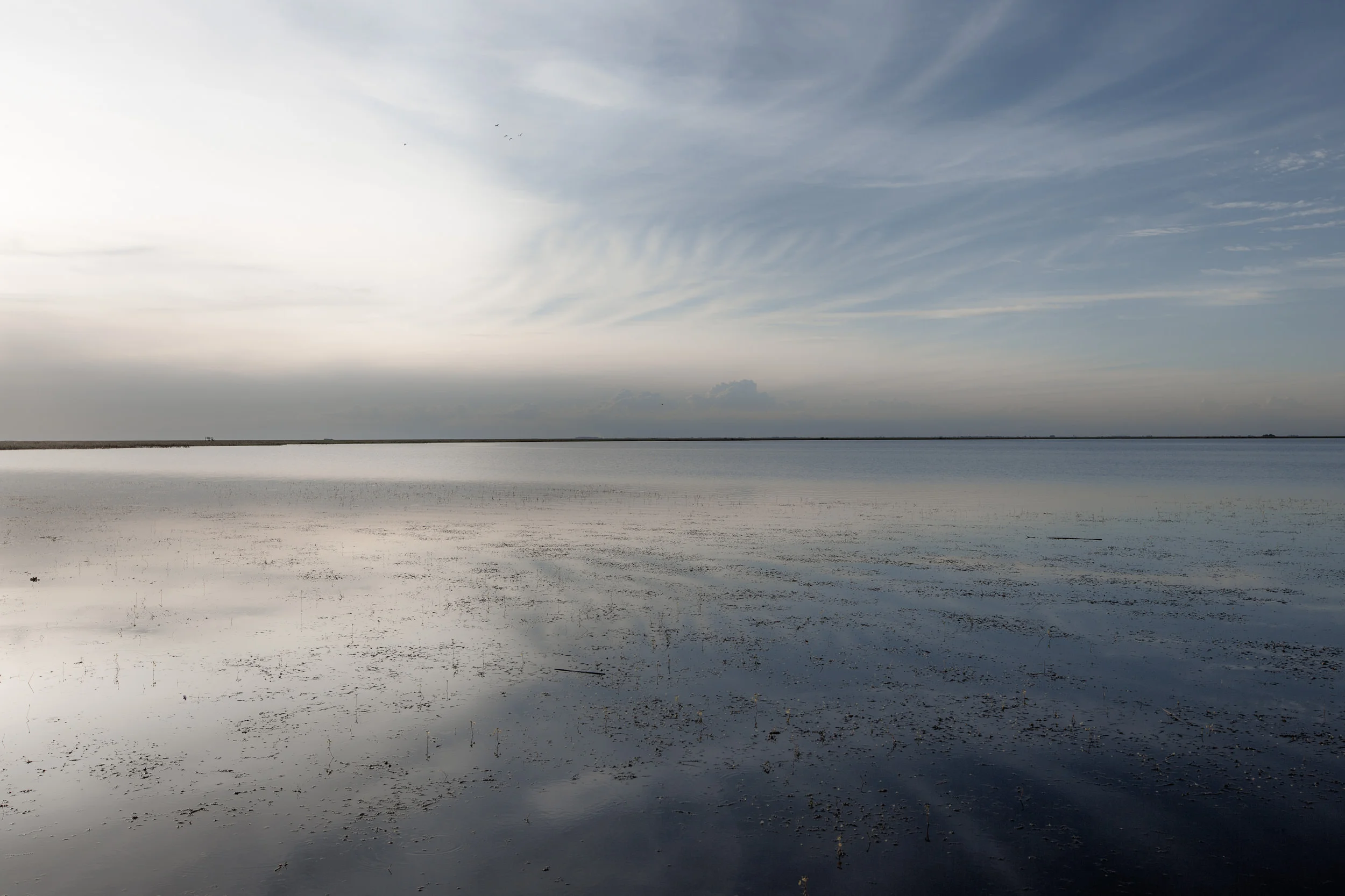 Horizons-1.jpg