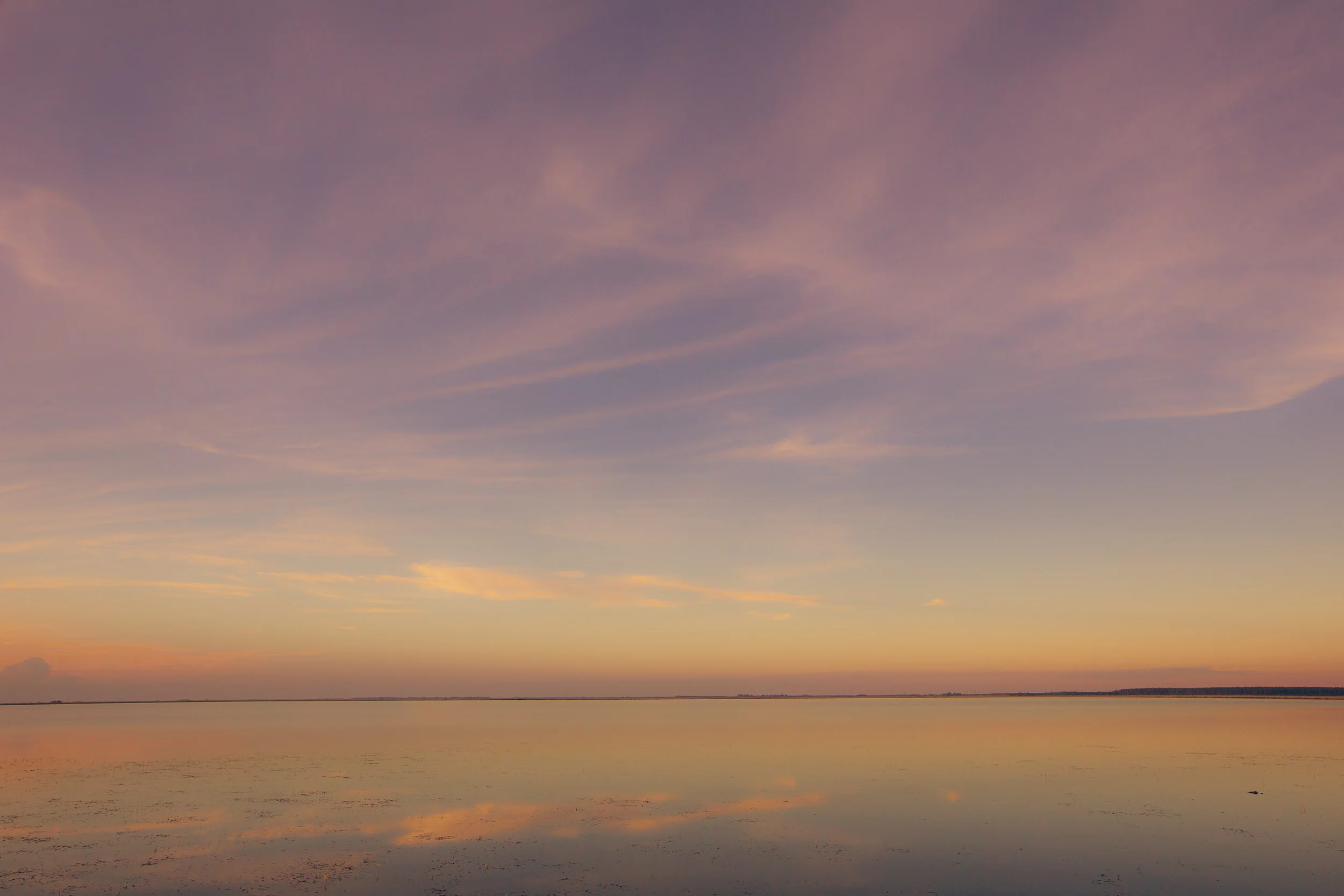 _5D31396.jpg