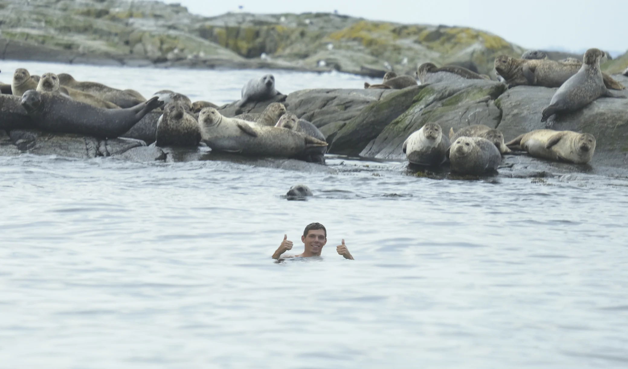 Jack, our first mate, swimming with the seals!