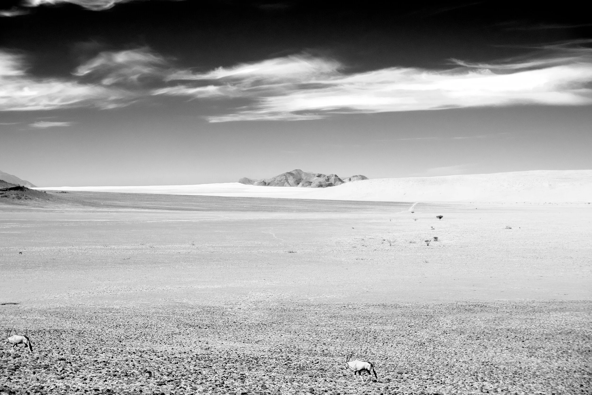  Sossusvlei desert from helicopter, Namibia, 2013 - Landscape008 