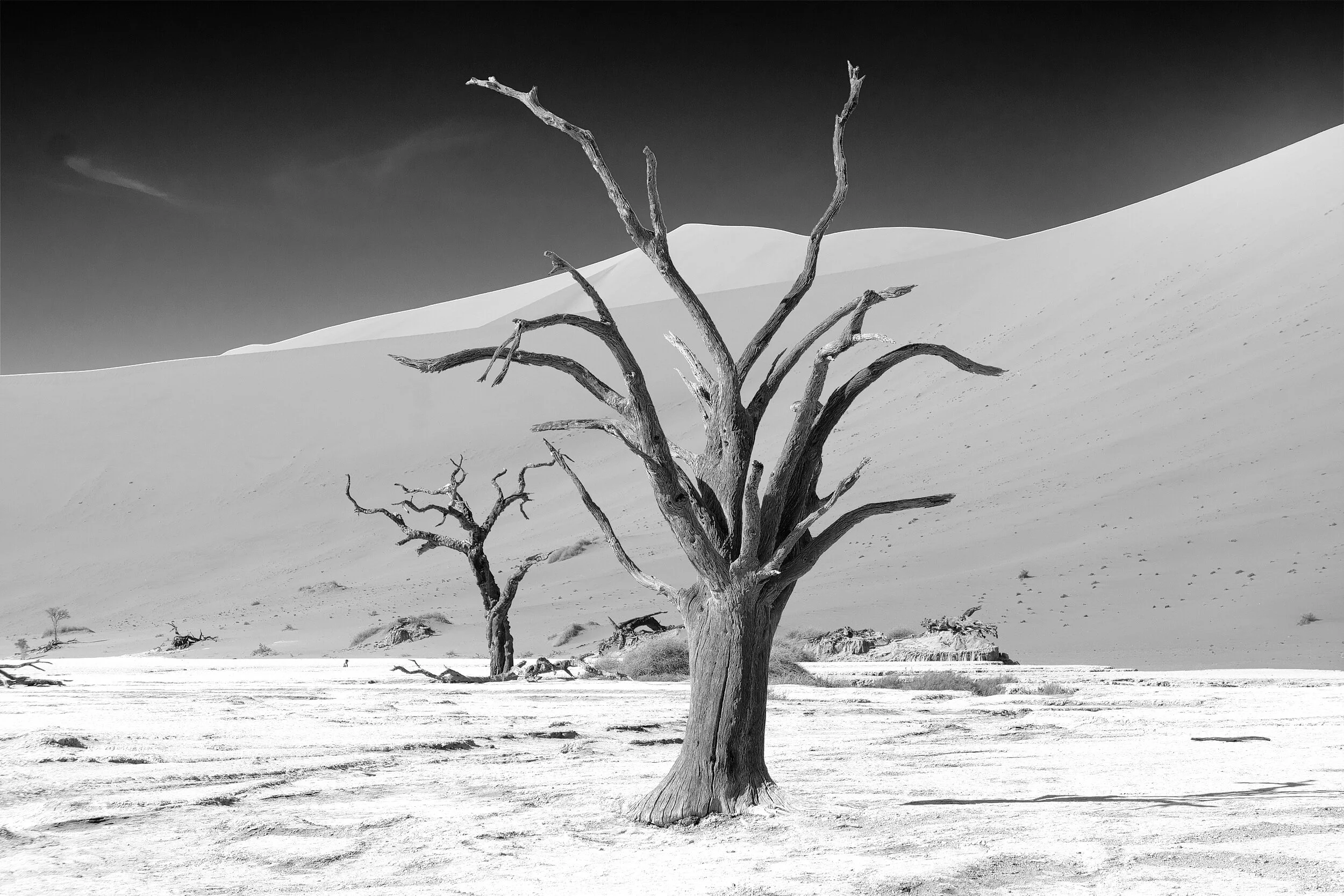  Sossusvlei desert, Namibia, 2013 - Landscape007 