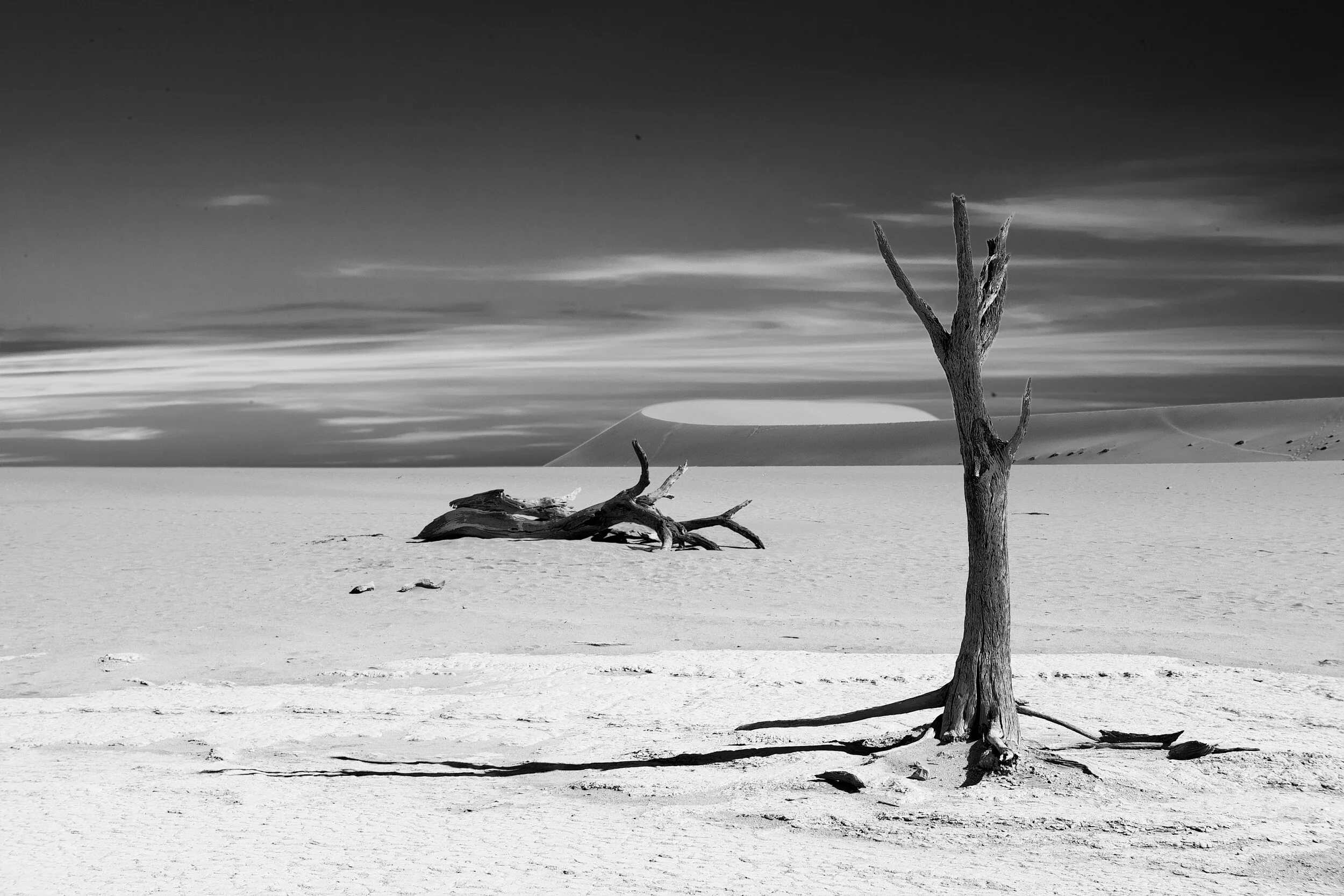 SS Landscape-002.jpg