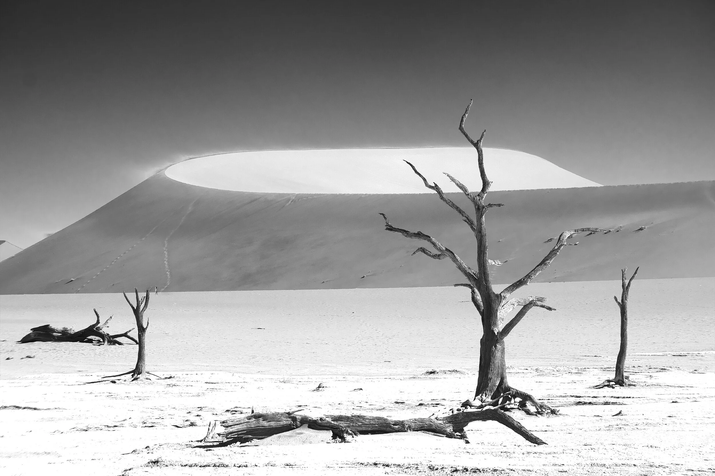 SS Landscape-004.jpg
