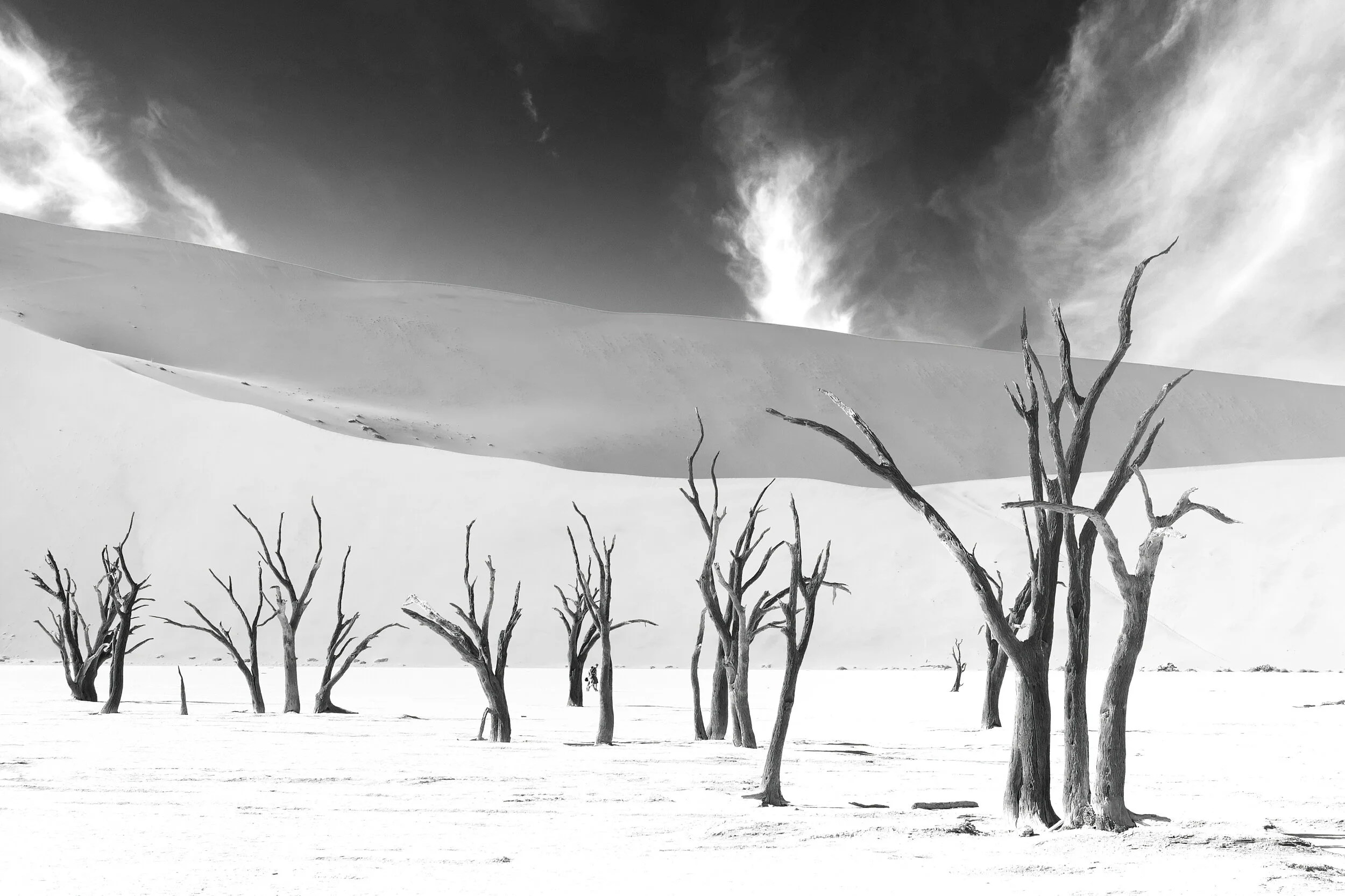 SS Landscape-003.jpg
