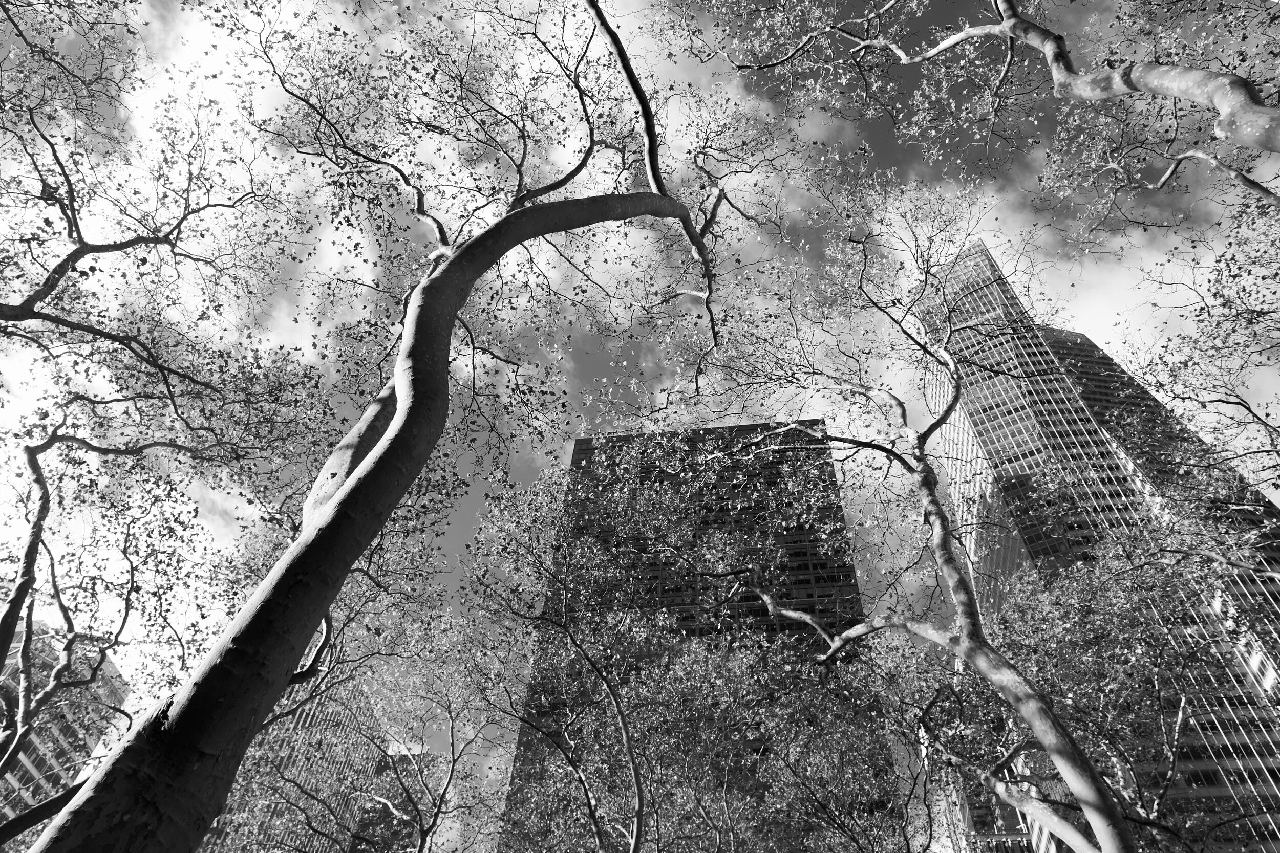  Bryant Park, NY, 2018 - Street006 