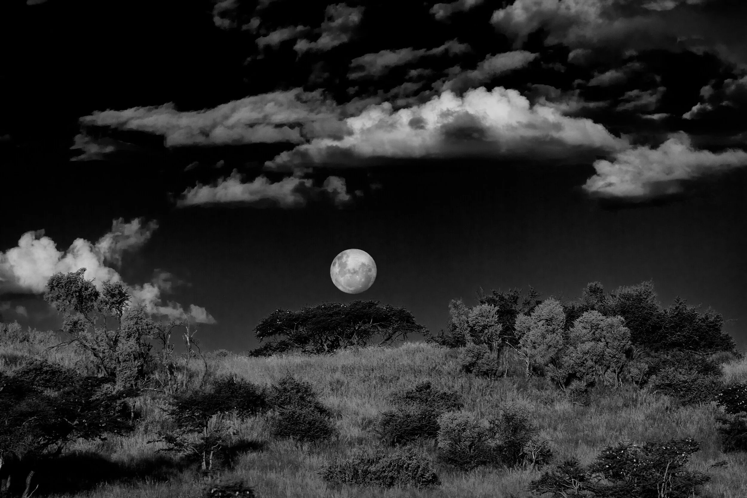  Moonrise on the Kalahari, Tswalu, South Africa, 2012 - Landscape018 