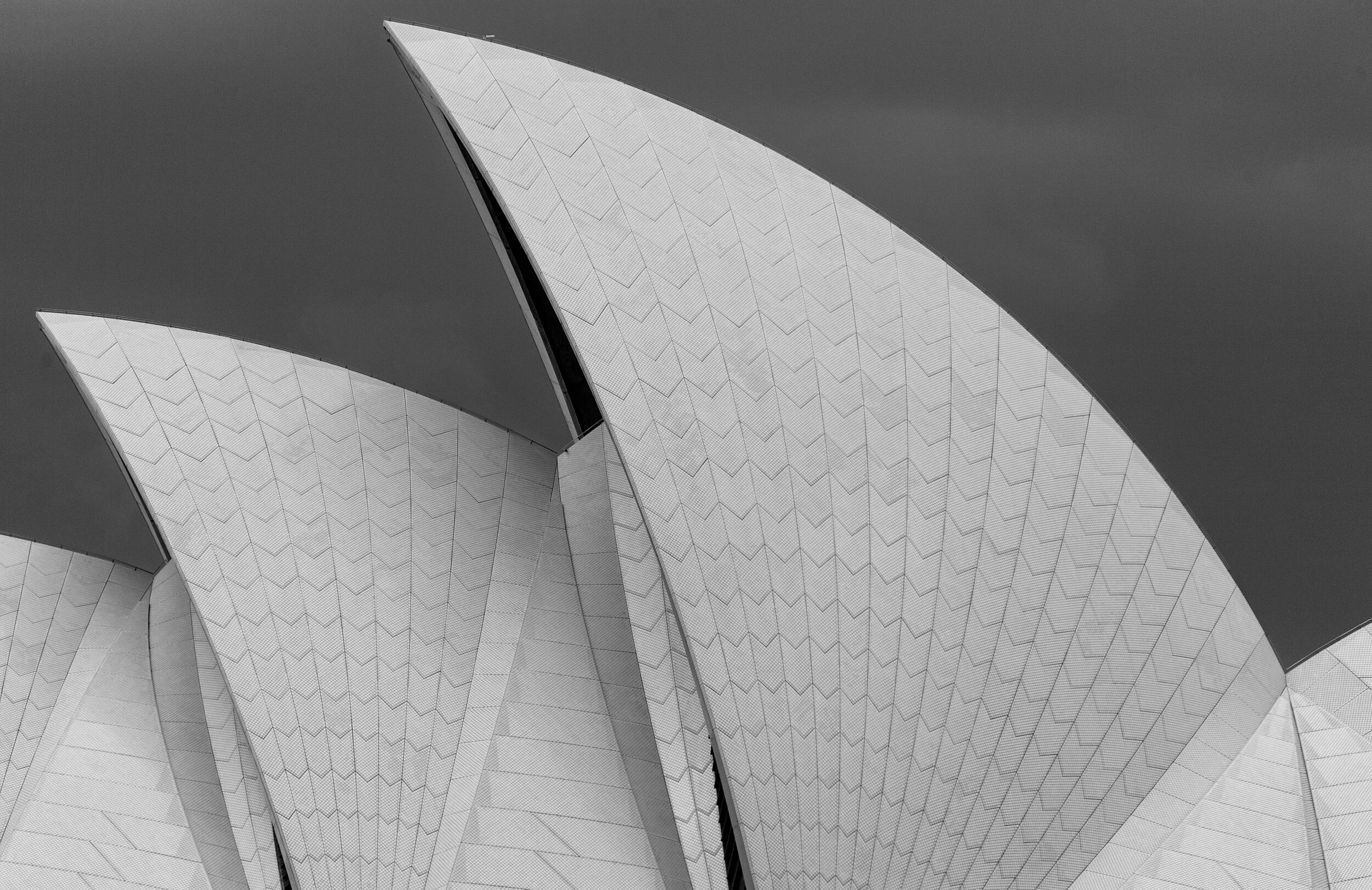  Sydney Opera House, 2004 - Landscape022 